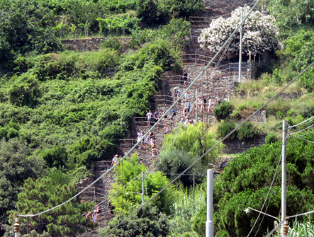 Corniglia