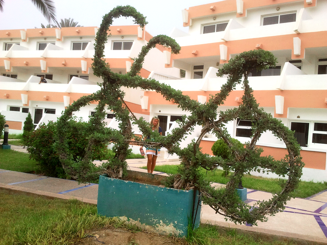 Dekoracje hotelowego ogrodnika