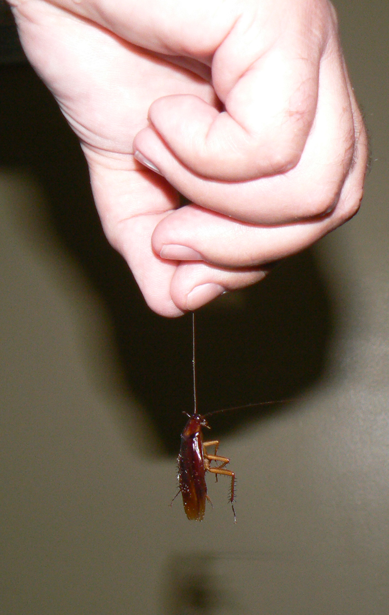 Inwentarz naszego pokoju