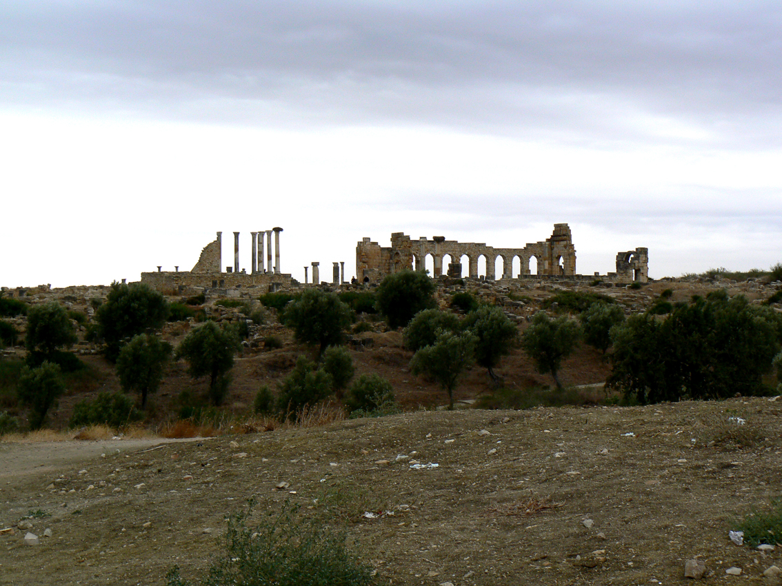Volubilis z daleka