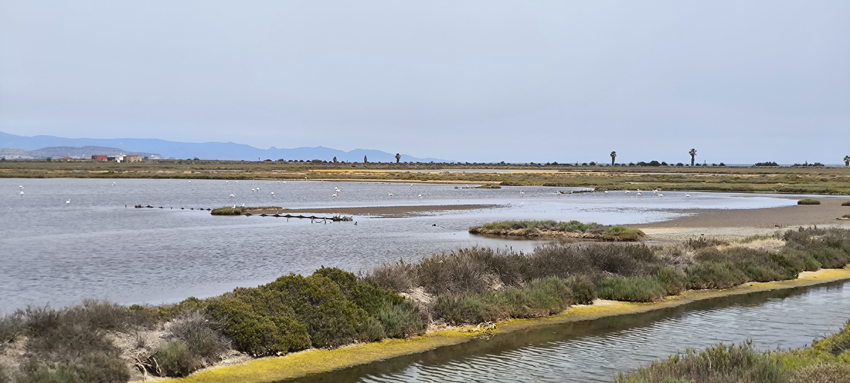 Laguna koło Porto Pino