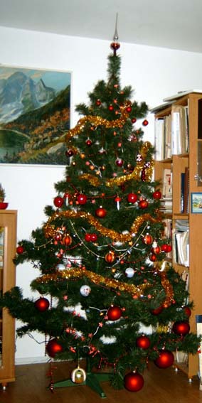 Choinka w Nowym Targu