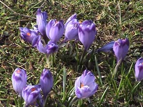 Foto: Magda Szczepanowska