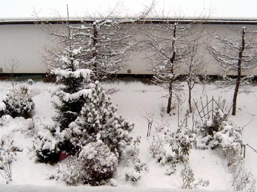 Widok z okna 20-11-2005