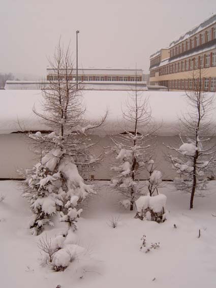 Ranek 3 lutego 2005, Nowy Targ