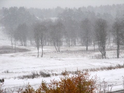 Impresja listopadowa, fot. Renata Pi�anowska