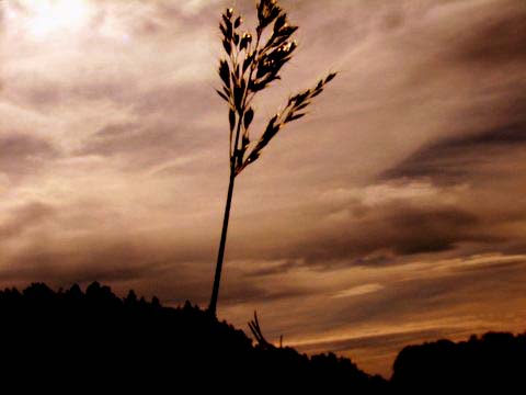 Jesie� 2006, fot. Renata Pi�anowska