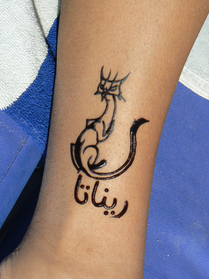 Egipski kotek, podpisany Renata