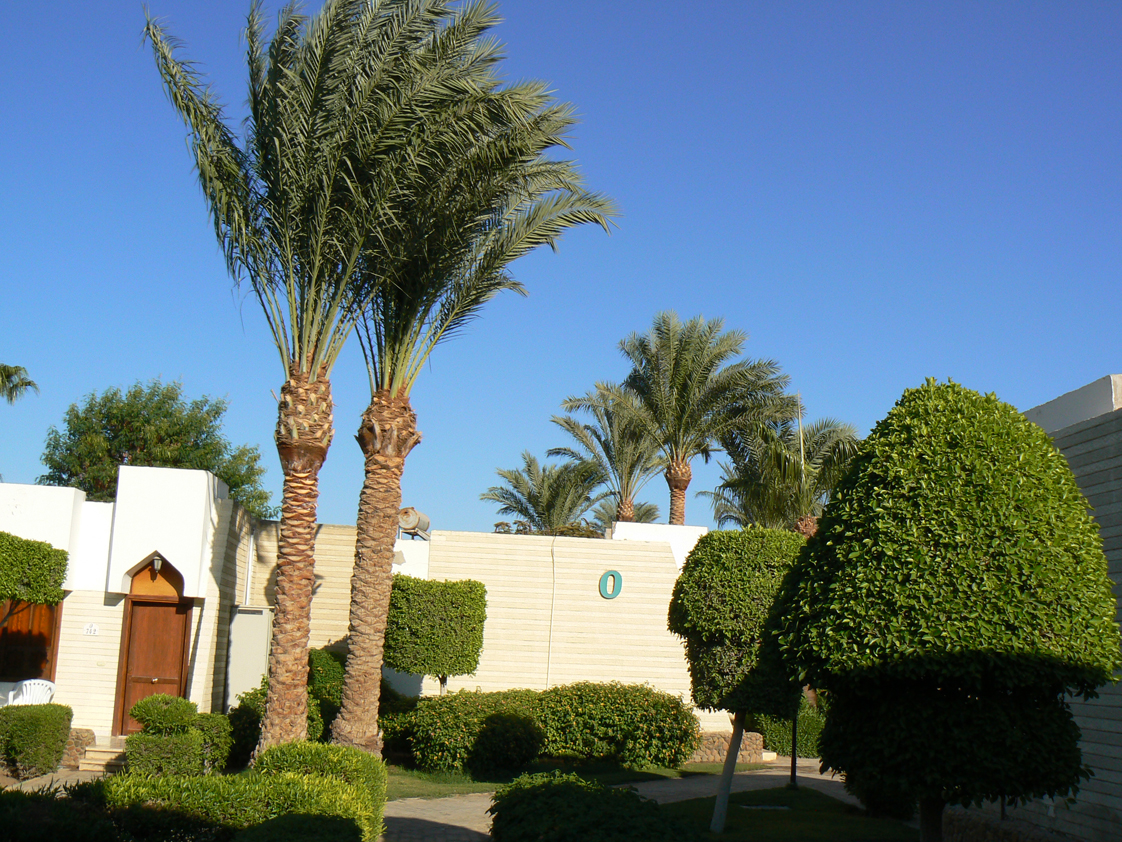 Hotel Regina w Hurghadzie