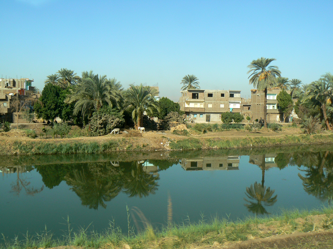 Qena to nieprzerwany ciąg wioseczek nad kanałem, prowadzącym do Nilu. Osły, slumsy, Beduini...