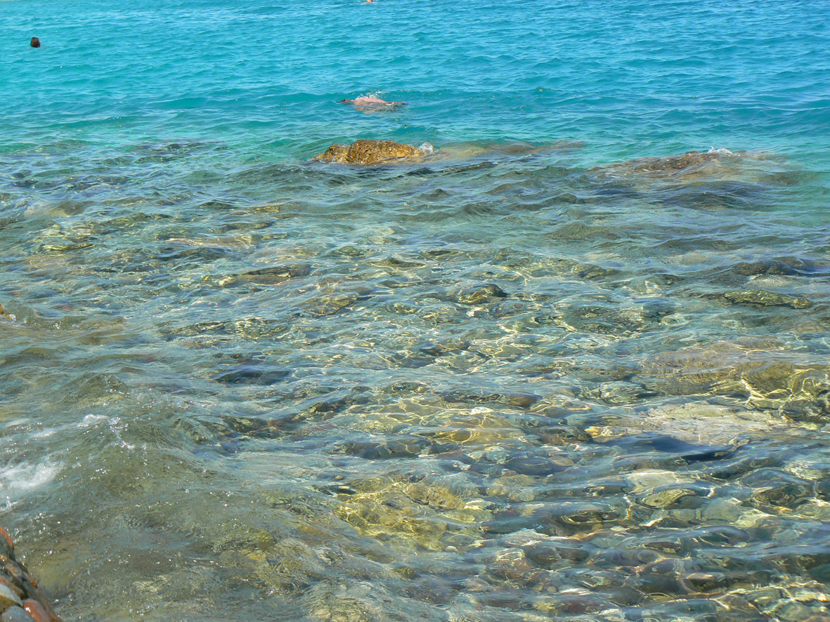 Niedaleko naszego hotelu zaczynała się rafa