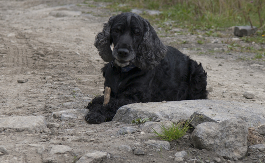 Roksana, fot. Renata