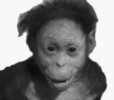 Lucy - Miss World A.D. - 3 500 000