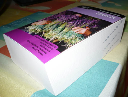 Francja nie-praktyczna