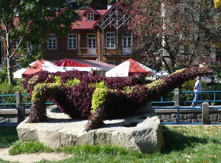 Salamandra w Krynicy