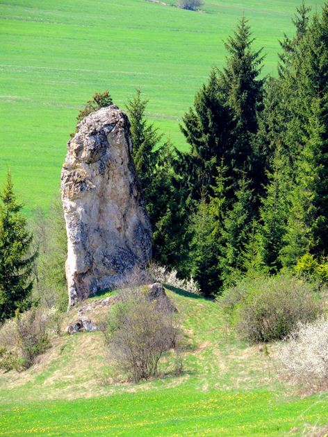 Skała Gęśle w rezerwacie Lorencowych Skałek