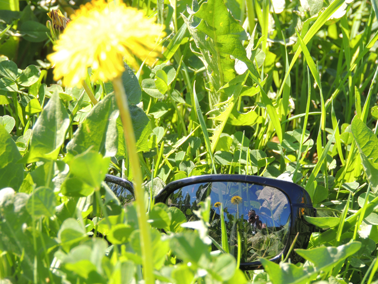 Widok na okulary, fot. R