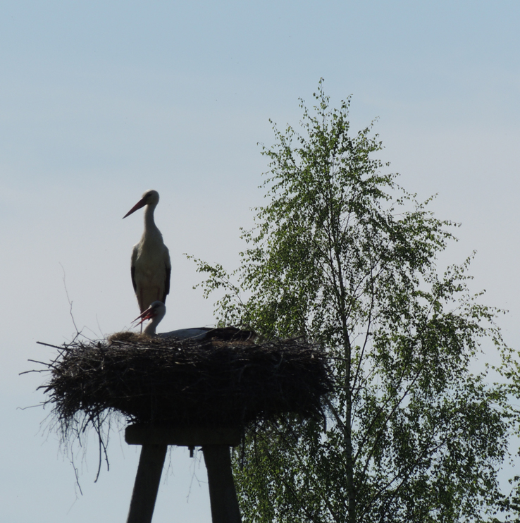 Państwo w pieleszach, fot. M