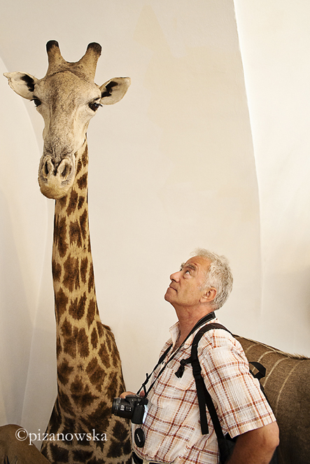 Kawałek żyrafy i MP