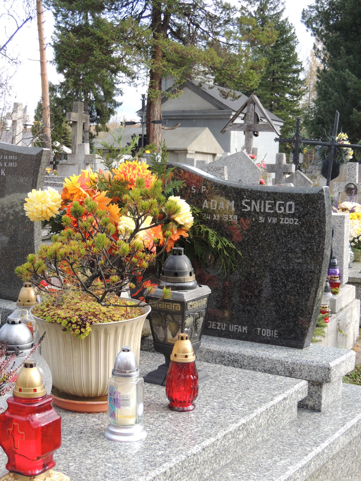 Inny z moich sąsiadów, najbliższy - drzwi w drzwi na Orkana, Adaś Śniego. Wspaniały kolega, doskonały i rzetelny współpracownik w czasach Solidarności, świetny fachowiec hotelarsko-gastronomiczny. Narciarz jakich mało!