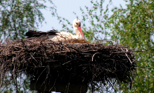 Wakacje w Egipcie się skończyły...