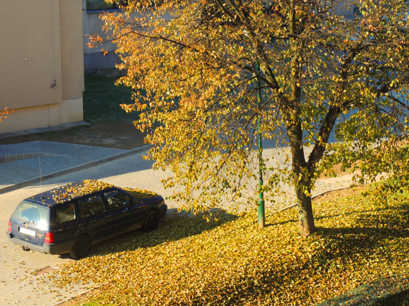 W Nowym Targu 4 października 2013, rano