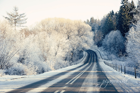 Droga z Falsztyna do Niedzicy, 2013
