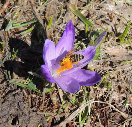 W Witowie, 18 kwietnia 2013