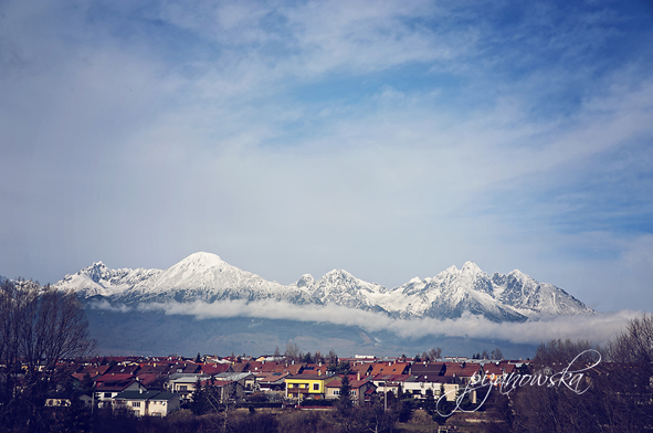 Widok z sali konferencyjnej