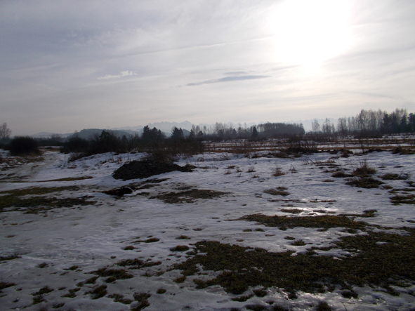 Styczniowy krajobraz koło Nowej Białej