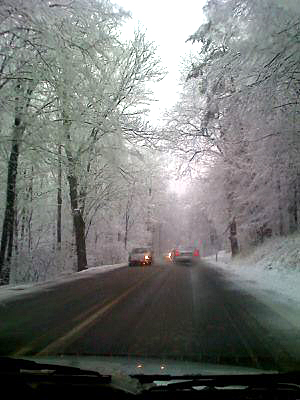 23-03-2008, droga do K�t - fot. Renata z kom�rki