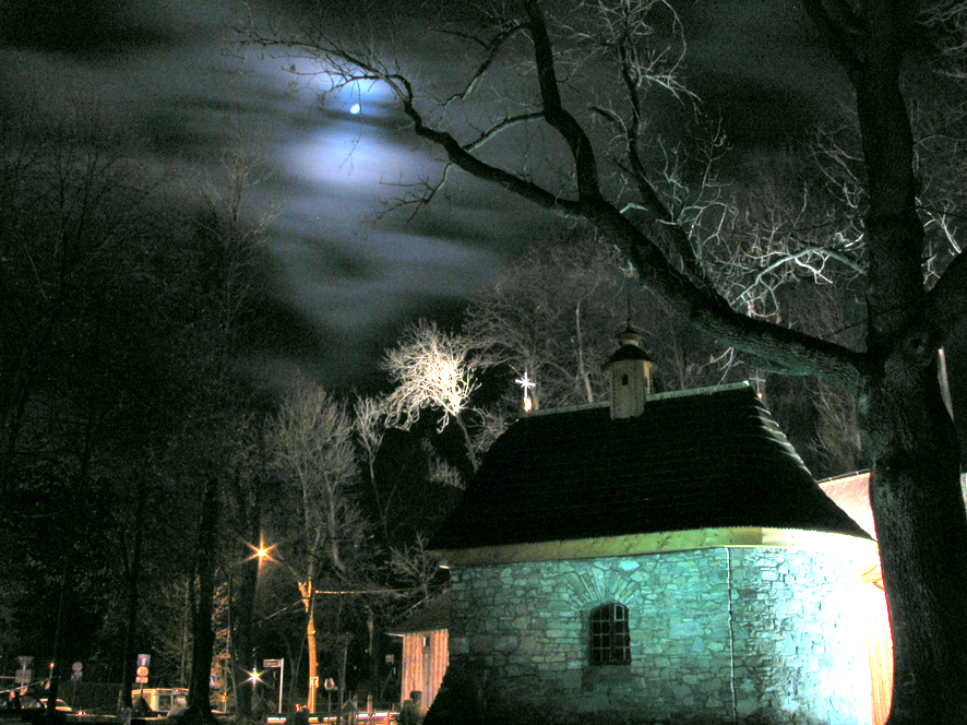 P�ksowy Brzyzek, fot. Renata Pi�anowska