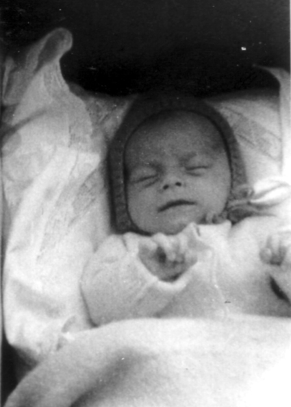 MP w pierwszych dniach