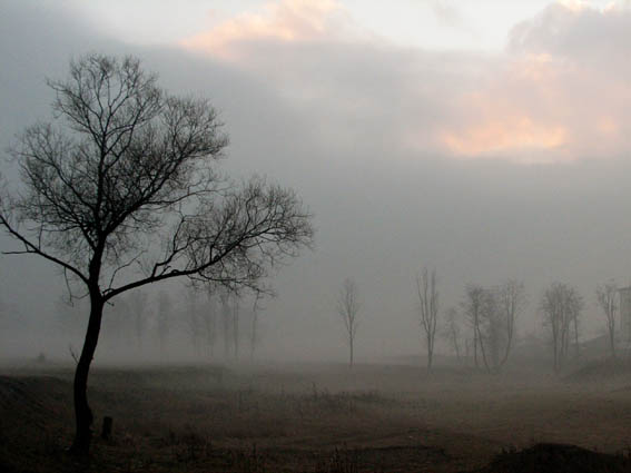 Smutek jesieni, fot. Renata Pi�anowska