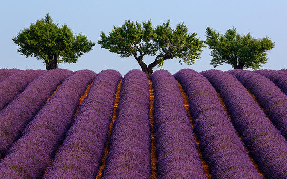 Takiego obrazka w filmie nie uświadczysz...