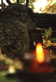 P�ksowy Brzyzek 1, fot. Maciej Janczy