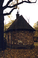 P�ksowy Brzyzek 3, fot. Maciej Janczy