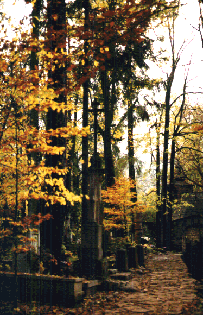 P�ksowy Brzyzek 5, fot. Maciej Janczy