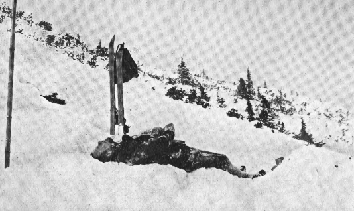 Zw�oki Kar�owicza na lawinisku pod Ko�cielcem. Fot. St. Barabasz