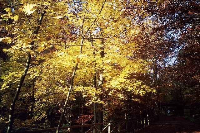 Sopot jesieni�, fot. Ada Zgajewska